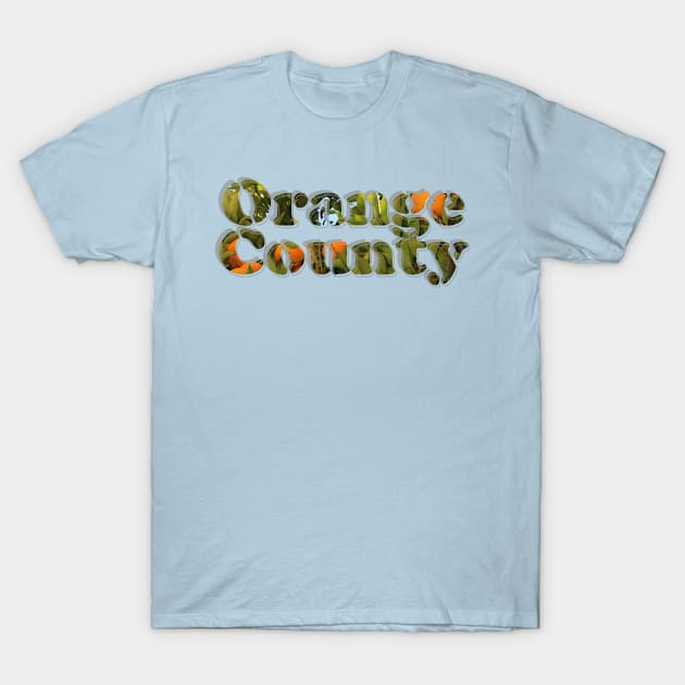 Orange County T-Shirt by afternoontees